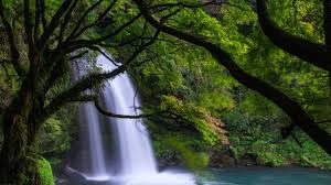 【商品紹介】日田天領水は硬水？軟水？特徴や成分は？